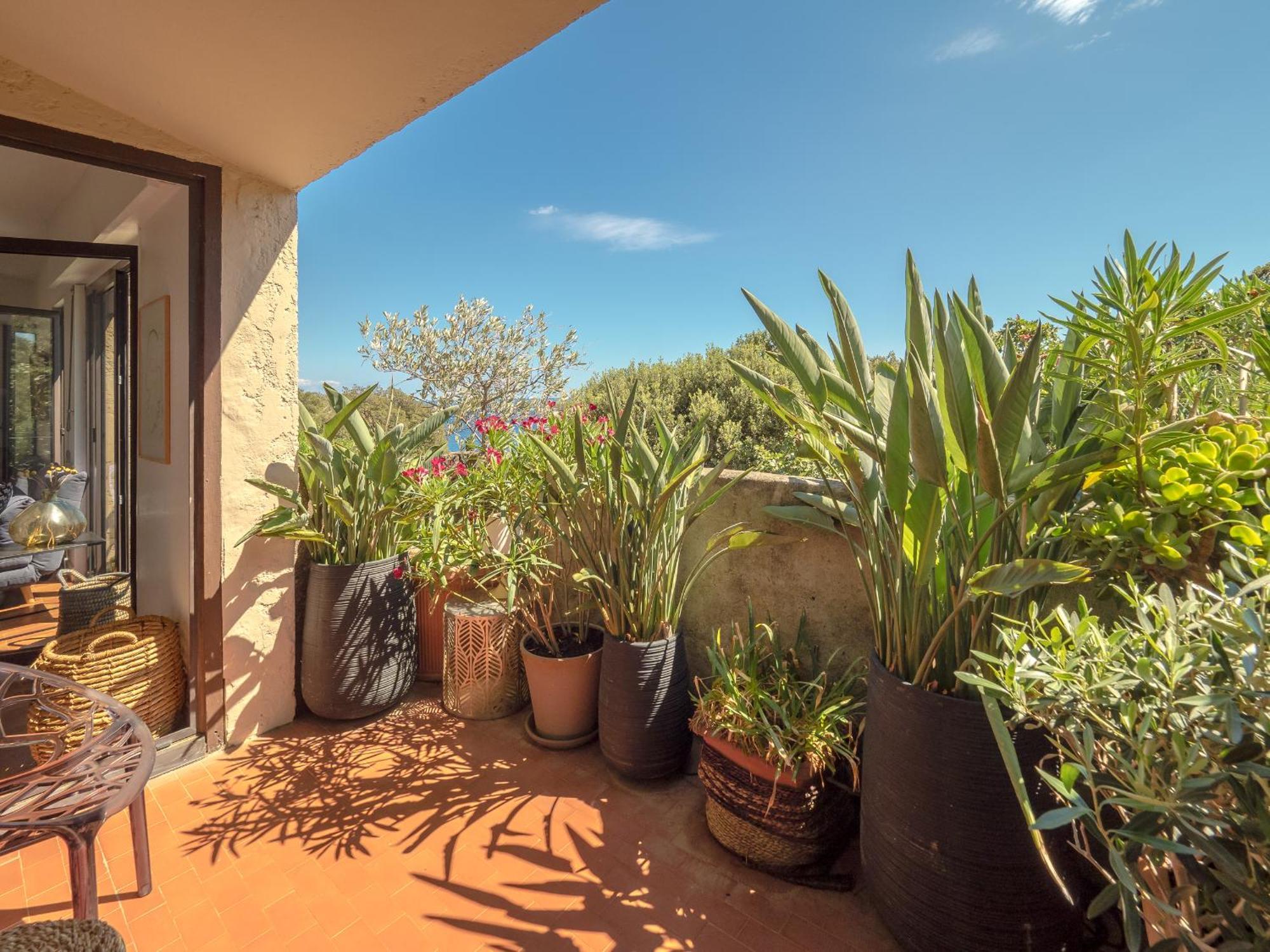 Residence Les Sources Brando Exterior photo
